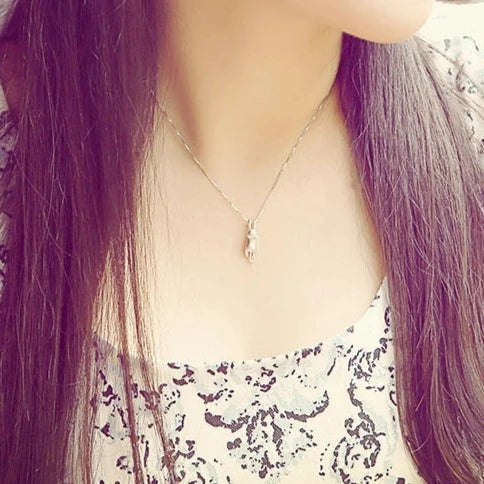 Kissanriipus kaulakorussa