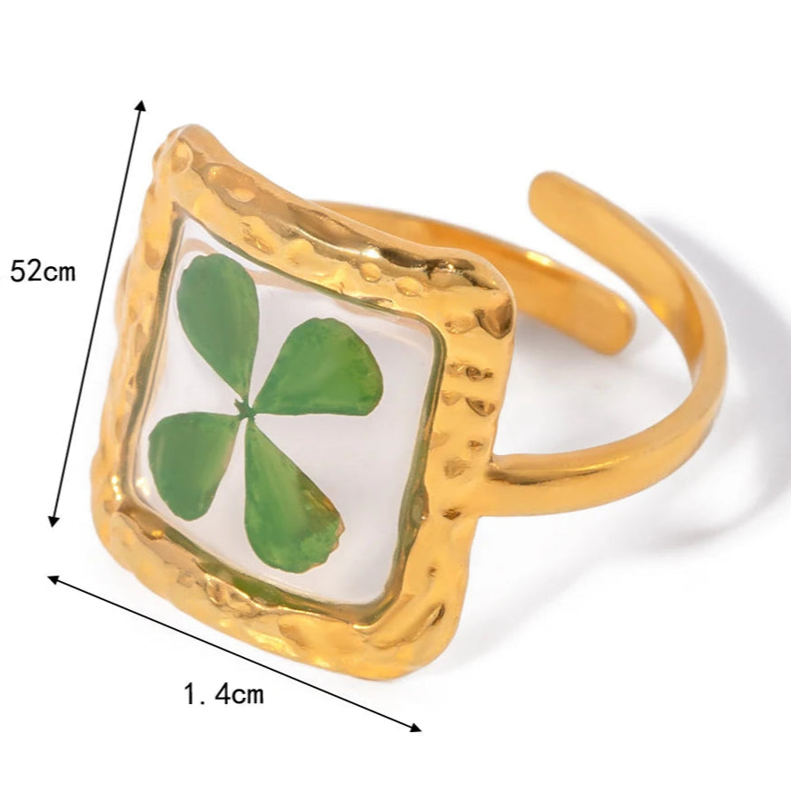 Suuri sormus kukalla läpinäkyvässä kehyksessä